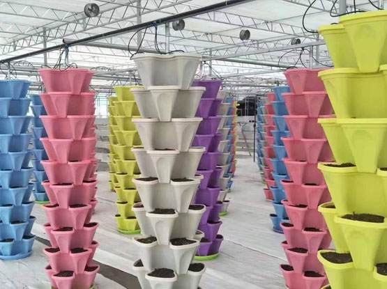 spiral hydroponic