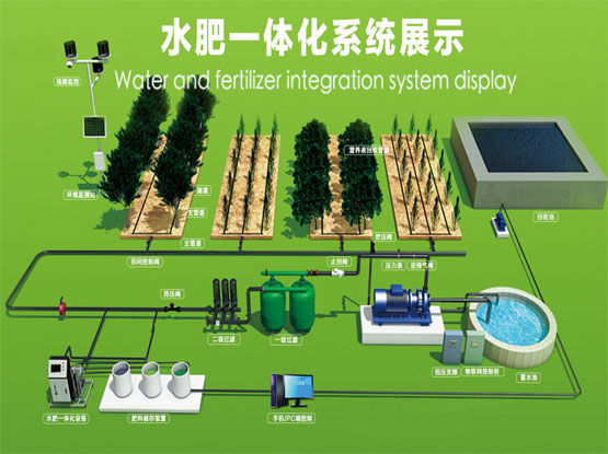 Greenhouse irrigation system for fruit vegetable