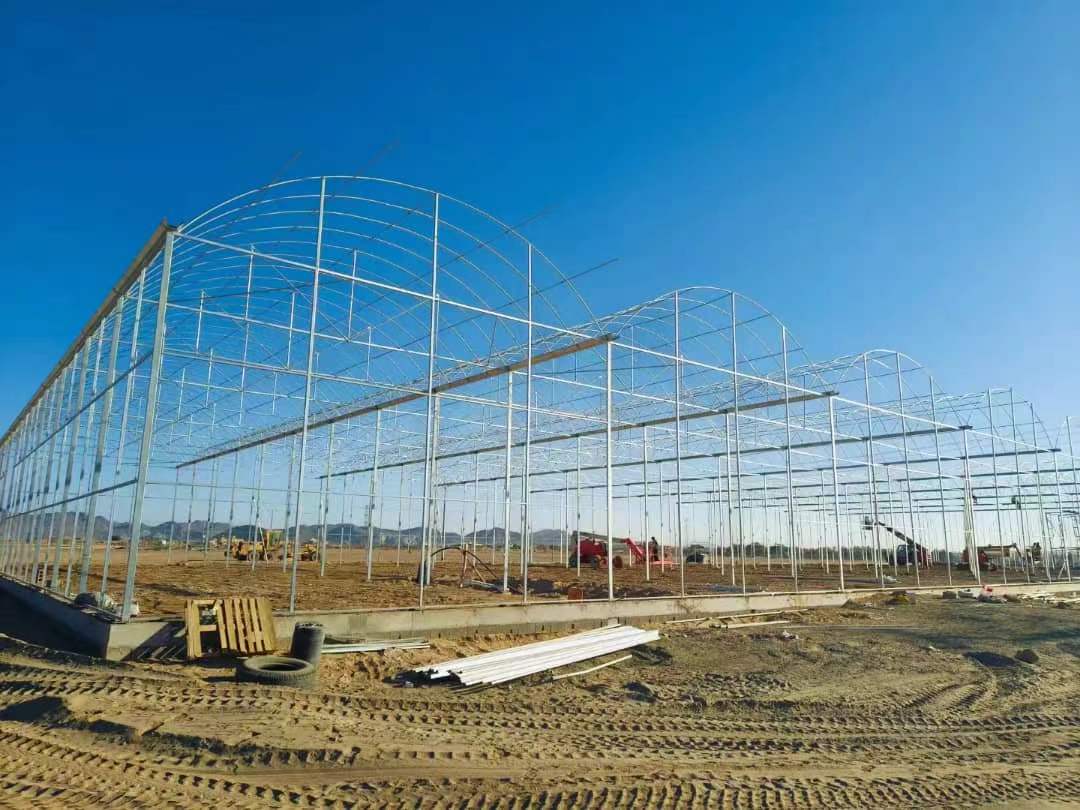 15000SQM Saudi Arabia film greenhouse