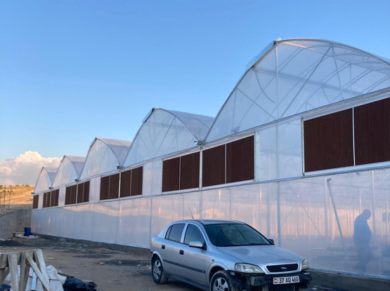 Agricultural  greenhouse